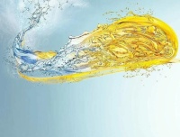 ВОДОРАСТВОРИМЫЕ МАСЛА