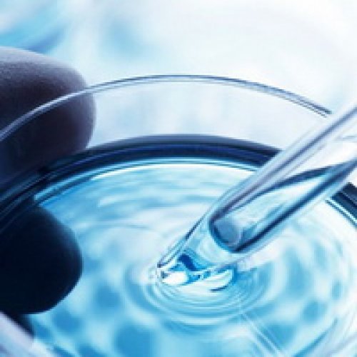 Токобиол С натуральный антиоксидант