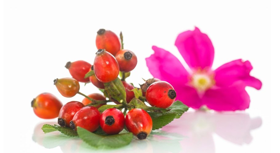 Водно-глицериновый экстракт Шиповника  