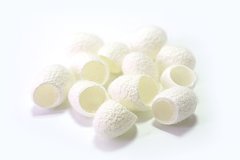 Экстракт Шелка водно-глицериновый