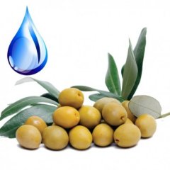 Масло Оливковое водорастворимое