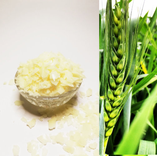 Xyliance / Ксилианс ламеллярный эмульгатор