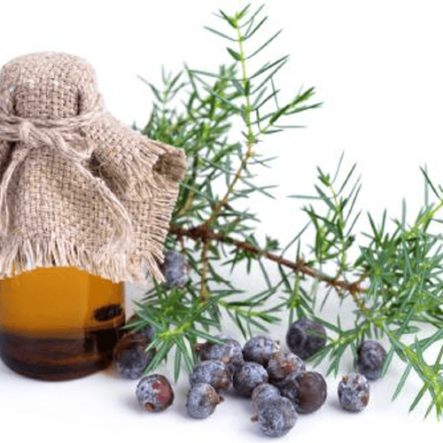 Эфирное масло Можжевельника  